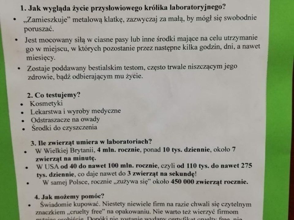 II LO - ostatni dzwonek dla klimatu