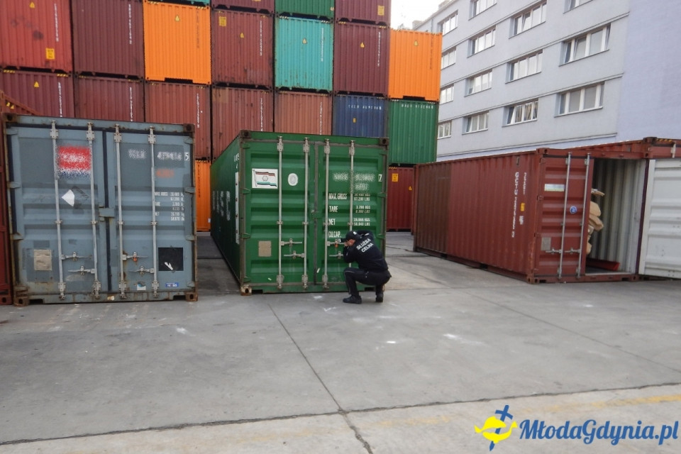 Kokaina w Gdyńskim Porcie