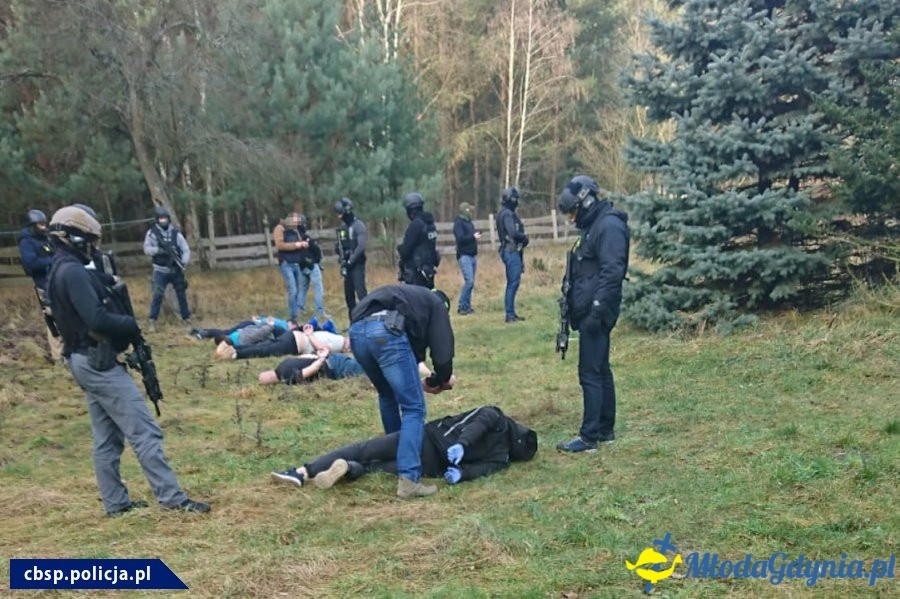 Kokaina w Gdyńskim Porcie