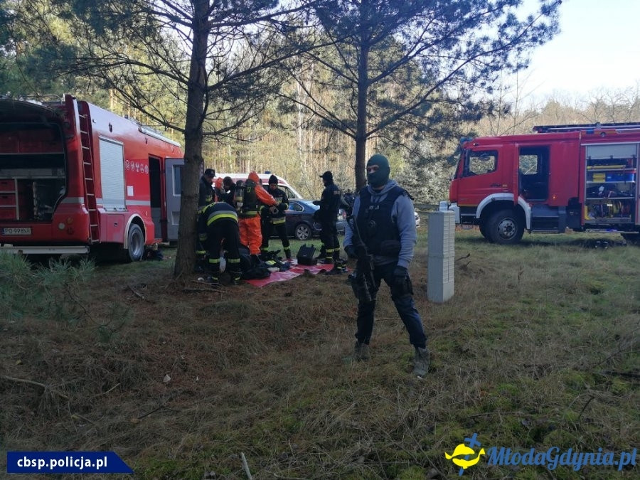 Kokaina w Gdyńskim Porcie