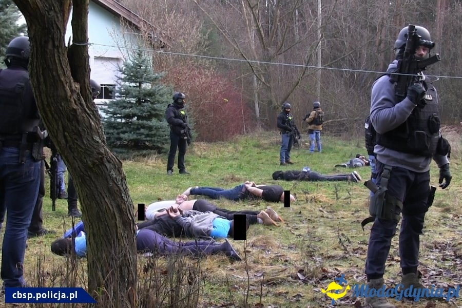 Kokaina w Gdyńskim Porcie