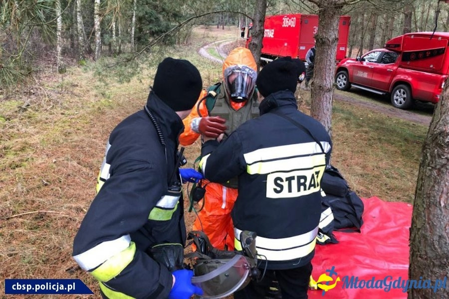 Kokaina w Gdyńskim Porcie