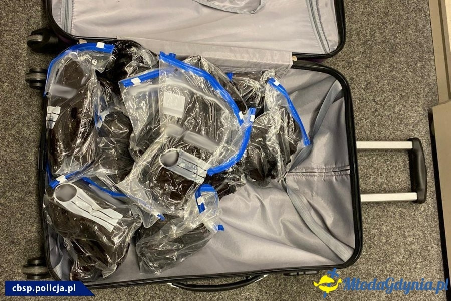 Kokaina w Gdyńskim Porcie