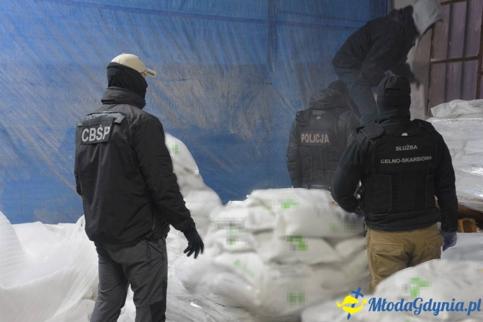 Kokaina w Gdyńskim Porcie