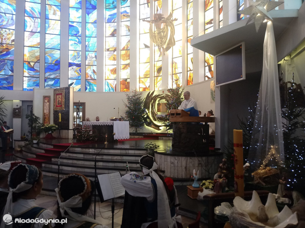 Aleksander Kozicki - XII 2019 - I 2020