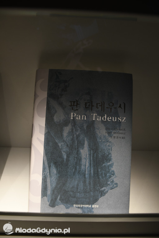 PTTK Klub Turystyczny WYBRZEŻE w Muzeum Emigracji w Gdyni 18.01.2020