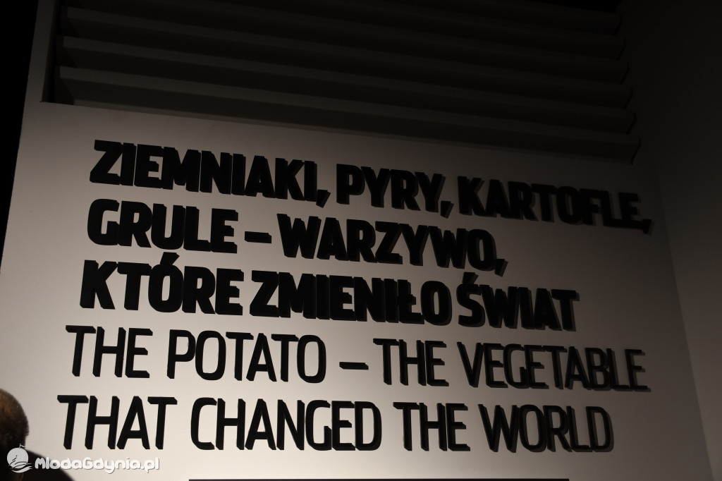 PTTK Klub Turystyczny WYBRZEŻE w Muzeum Emigracji w Gdyni 18.01.2020