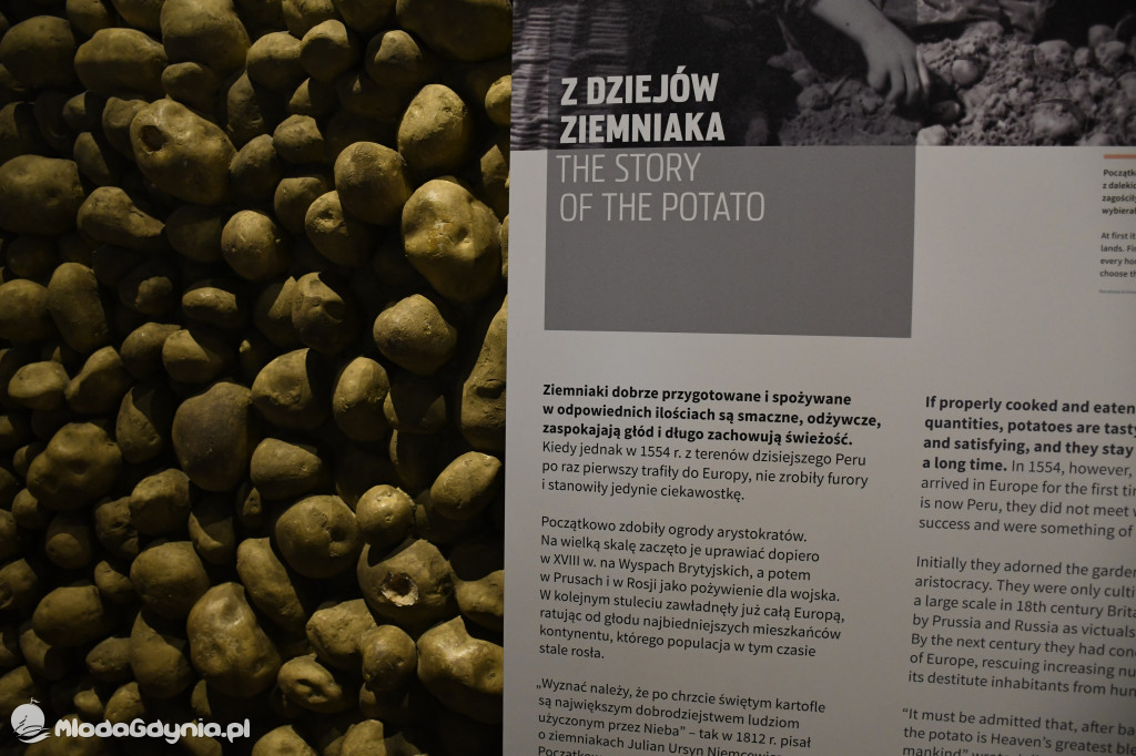 PTTK Klub Turystyczny WYBRZEŻE w Muzeum Emigracji w Gdyni 18.01.2020