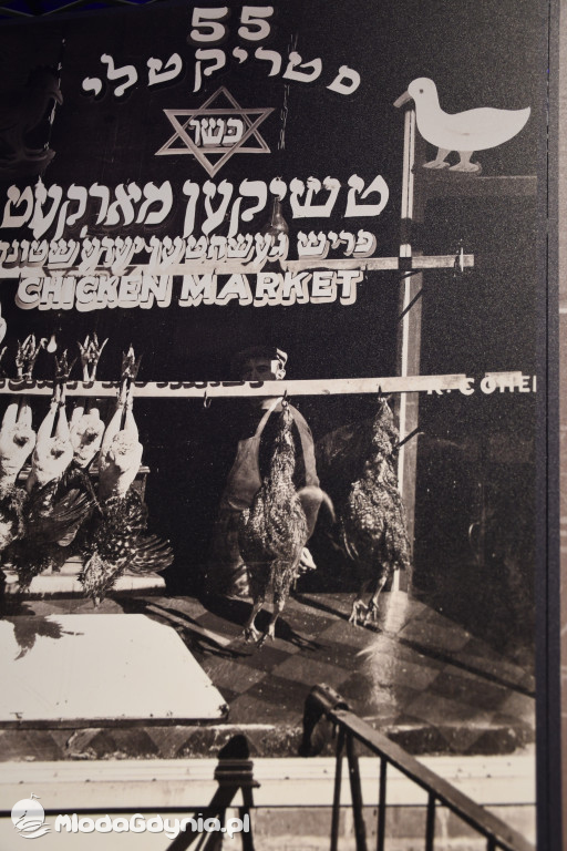 PTTK Klub Turystyczny WYBRZEŻE w Muzeum Emigracji w Gdyni 18.01.2020