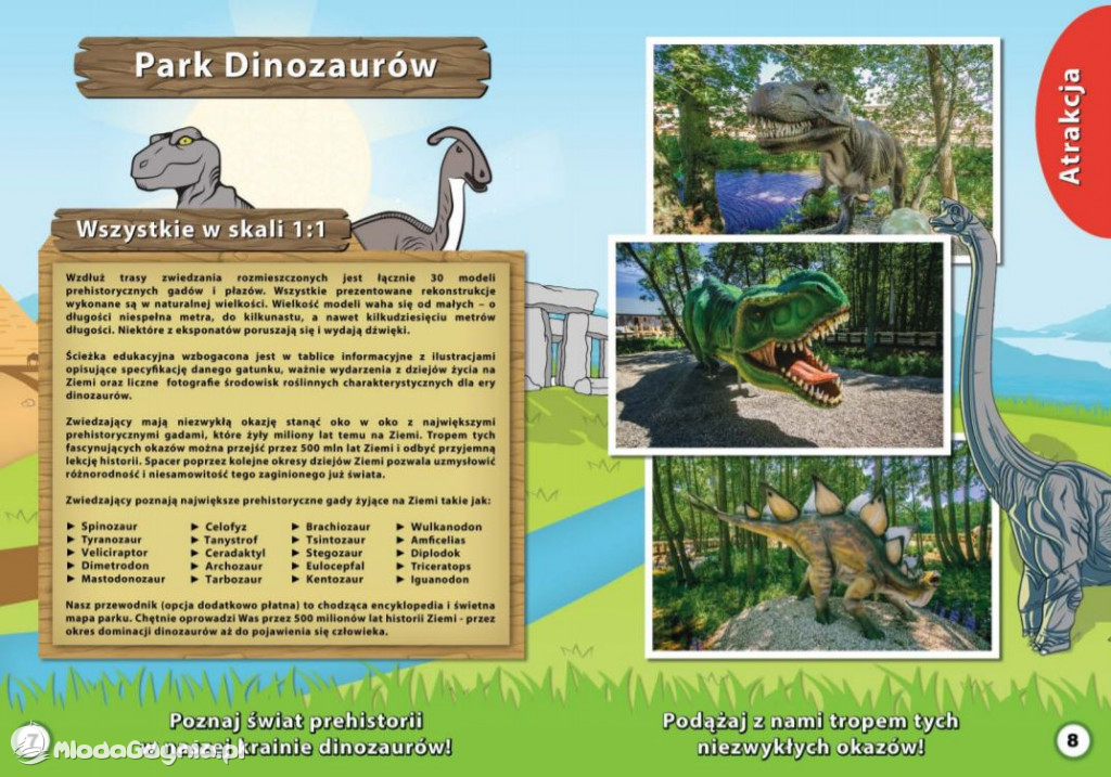 Park Ewolucji - oferta