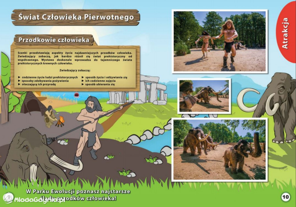 Park Ewolucji - oferta