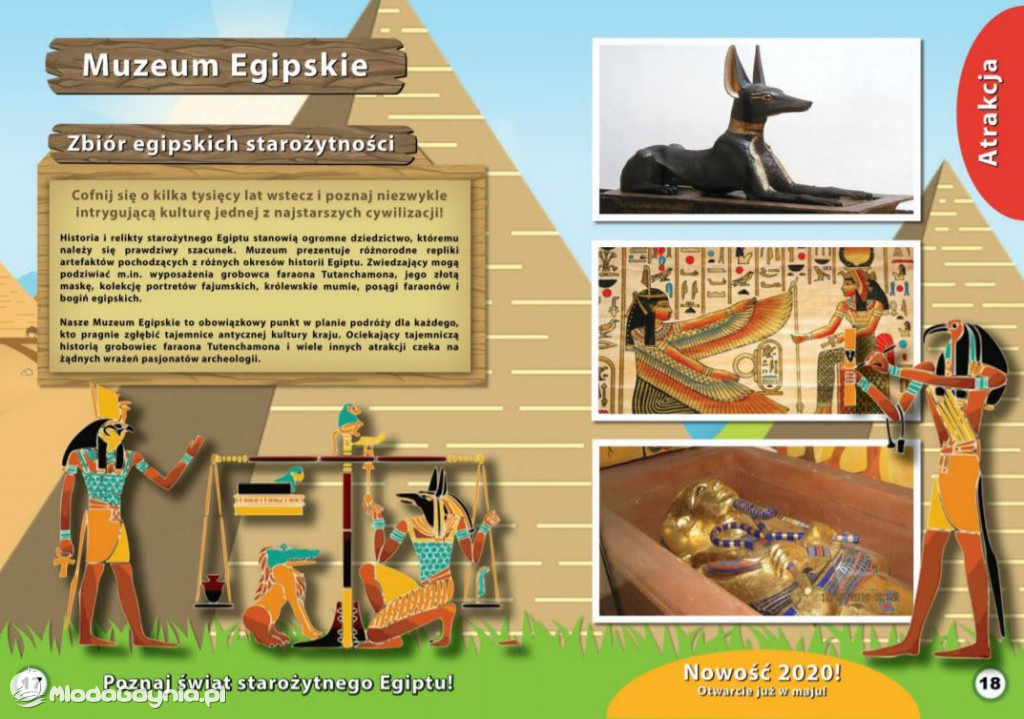 Park Ewolucji - oferta