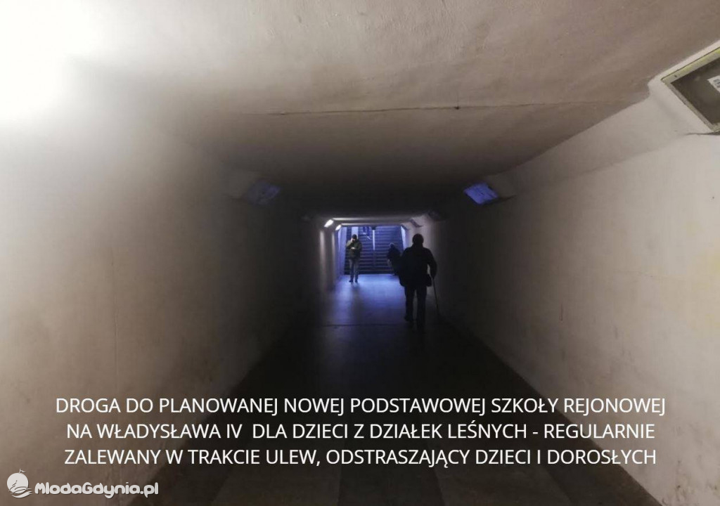 Alternatywna propozycja zmian w sieci szkół