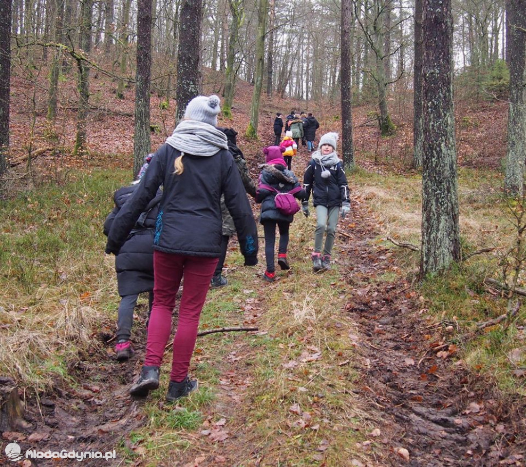 Harcerska Akcja Zimowa Leśnej Szkółki 2020