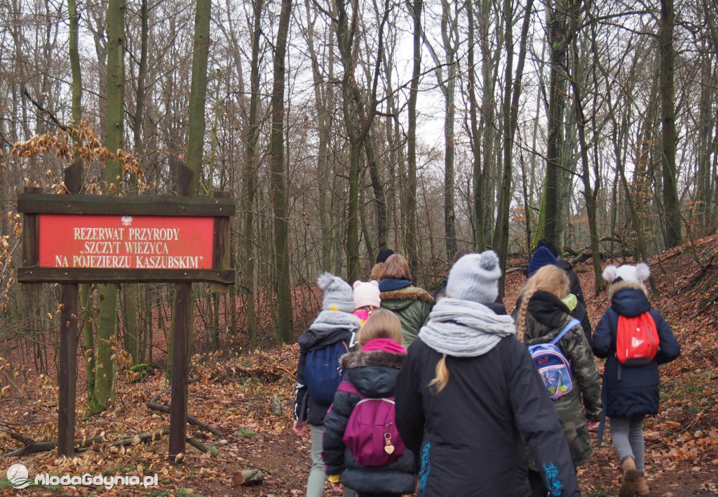 Harcerska Akcja Zimowa Leśnej Szkółki 2020