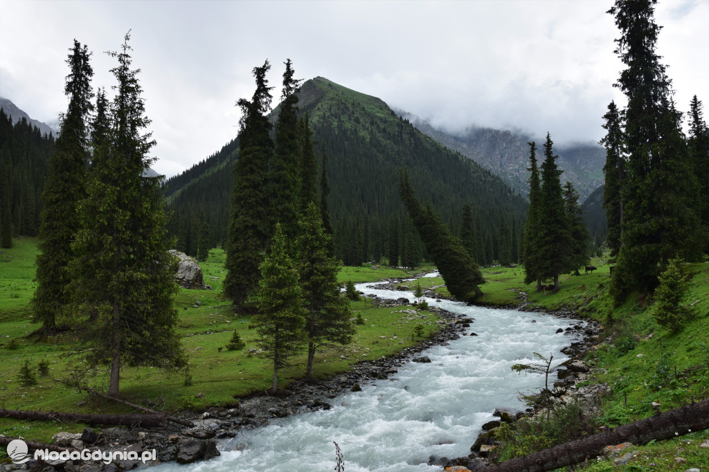 II LO. Wyprawa do Kirgistanu