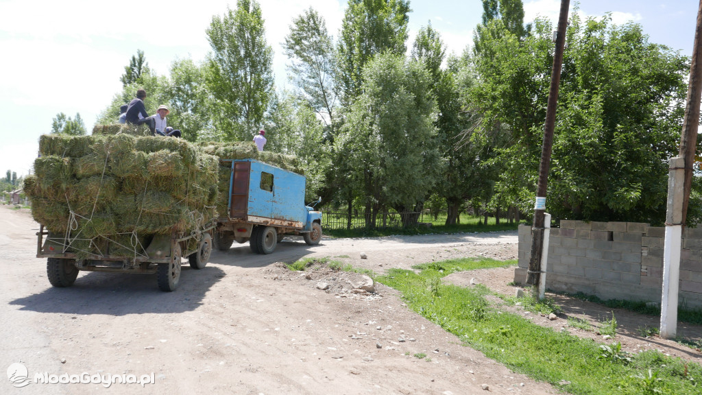 II LO. Wyprawa do Kirgistanu