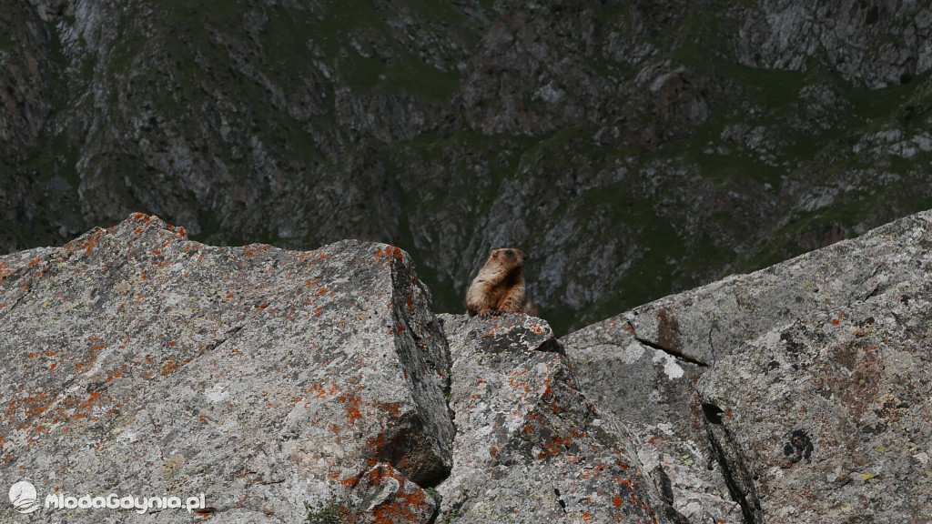 II LO. Wyprawa do Kirgistanu