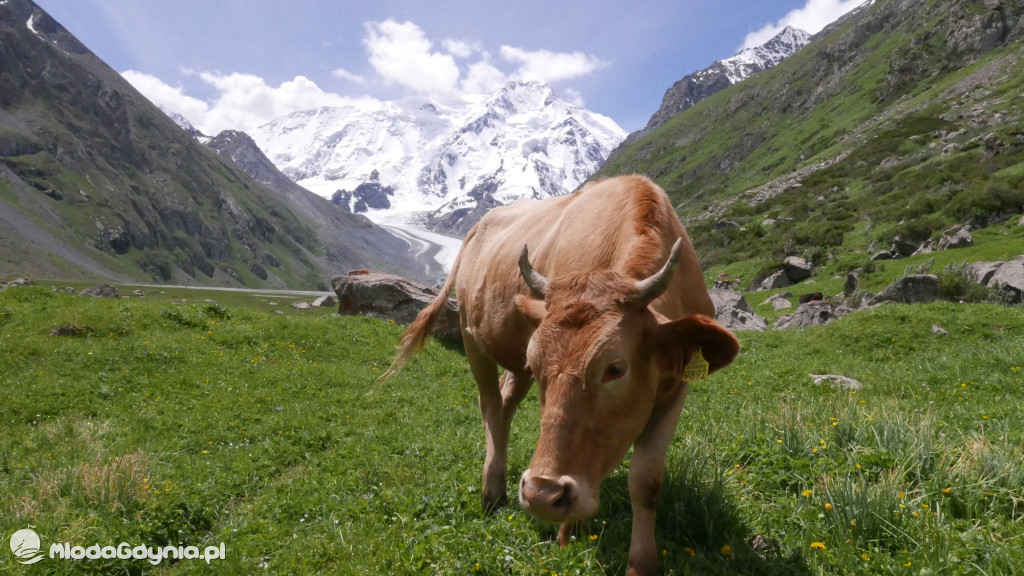 II LO. Wyprawa do Kirgistanu