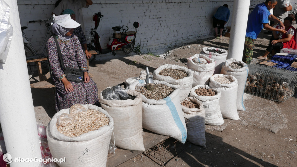 II LO. Wyprawa do Kirgistanu