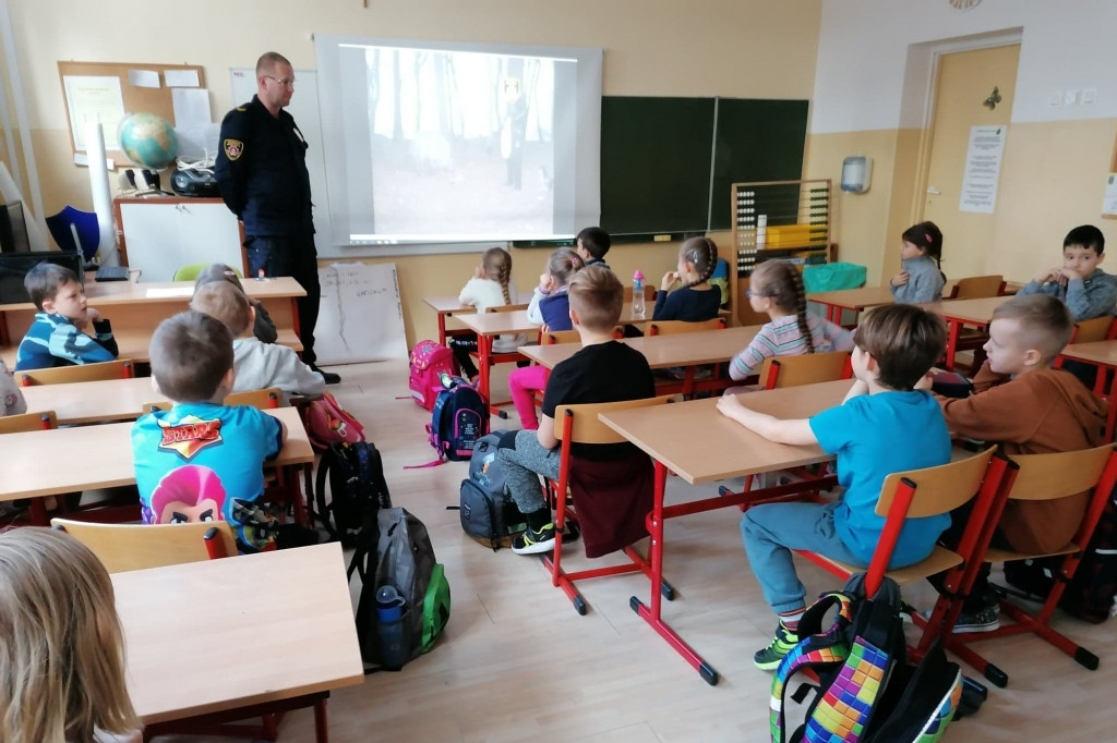 SP 16 i P 46 - warsztaty Dzikie zwierzęta w mieście