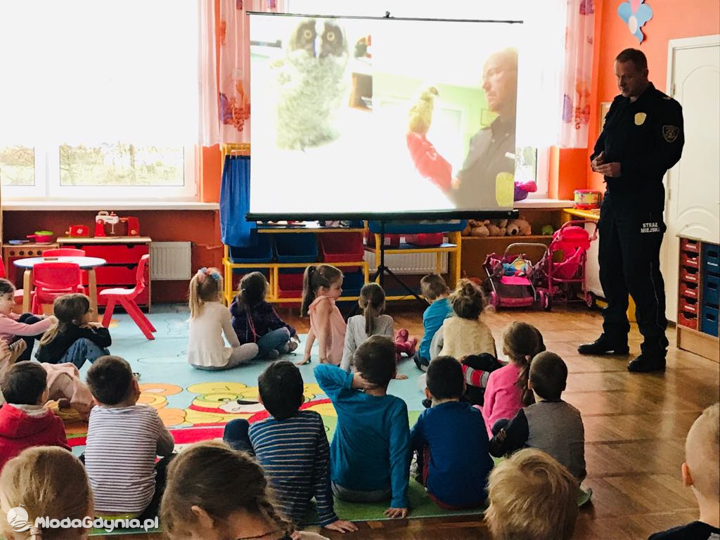 SP 16 i P 46 - warsztaty Dzikie zwierzęta w mieście