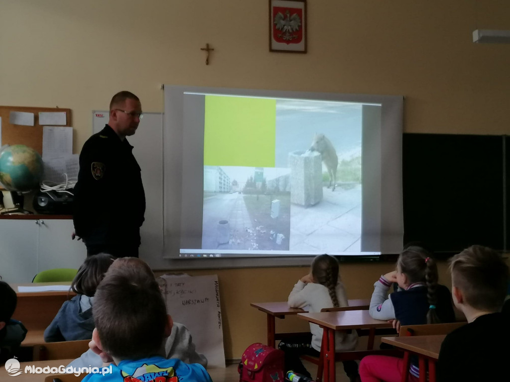 SP 16 i P 46 - warsztaty Dzikie zwierzęta w mieście