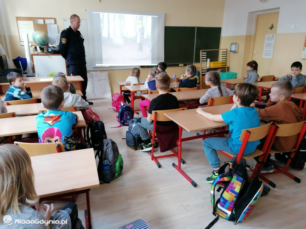 SP 16 i P 46 - warsztaty Dzikie zwierzęta w mieście