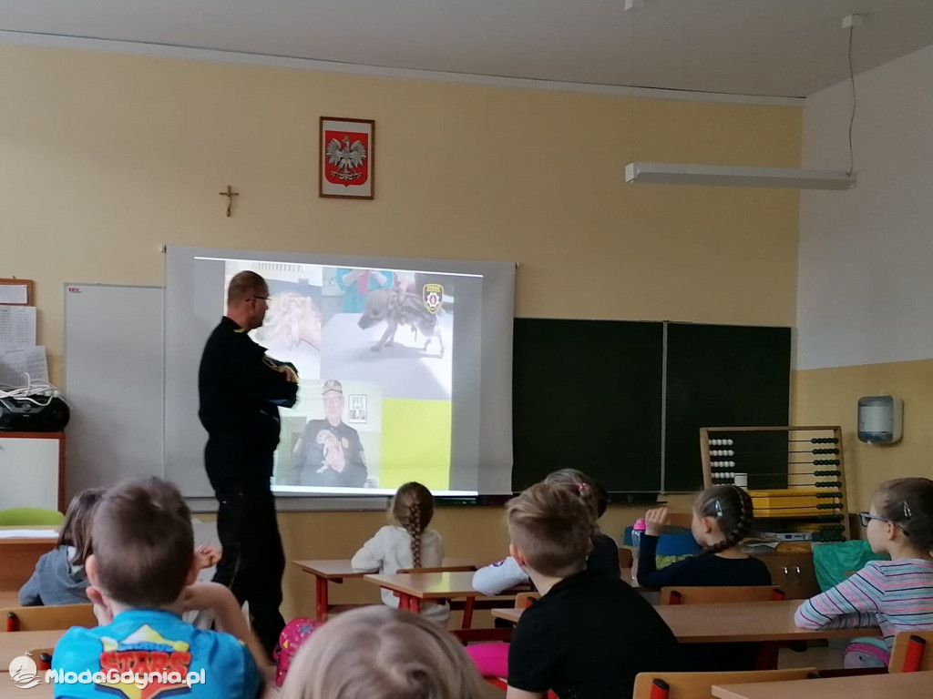 SP 16 i P 46 - warsztaty Dzikie zwierzęta w mieście