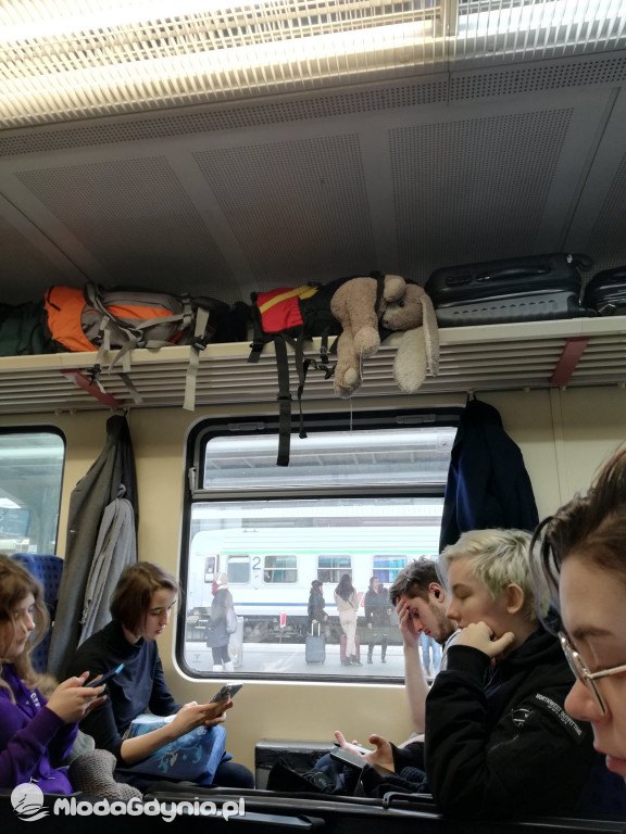 Zespół Szkół Plastycznych - Skoki - luty 2020