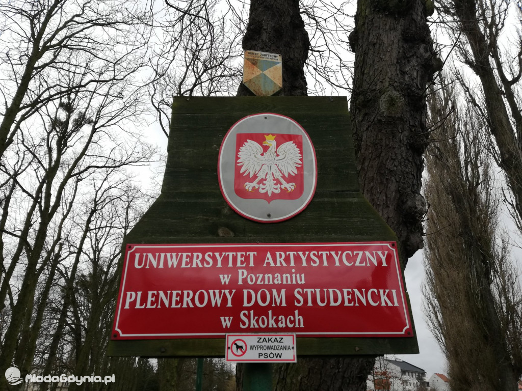 Zespół Szkół Plastycznych - Skoki - luty 2020