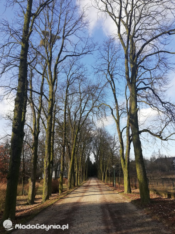 Zespół Szkół Plastycznych - Skoki - luty 2020