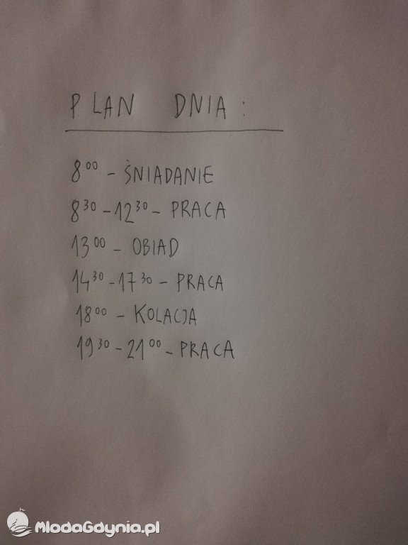 Zespół Szkół Plastycznych - Skoki - luty 2020