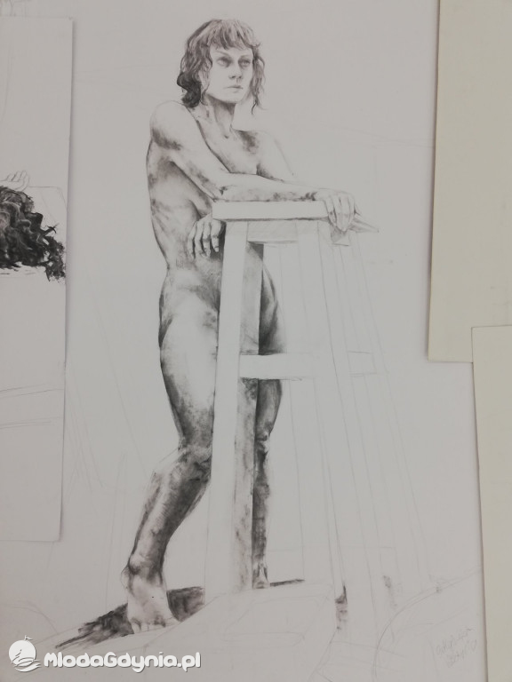 Zespół Szkół Plastycznych - Skoki - luty 2020