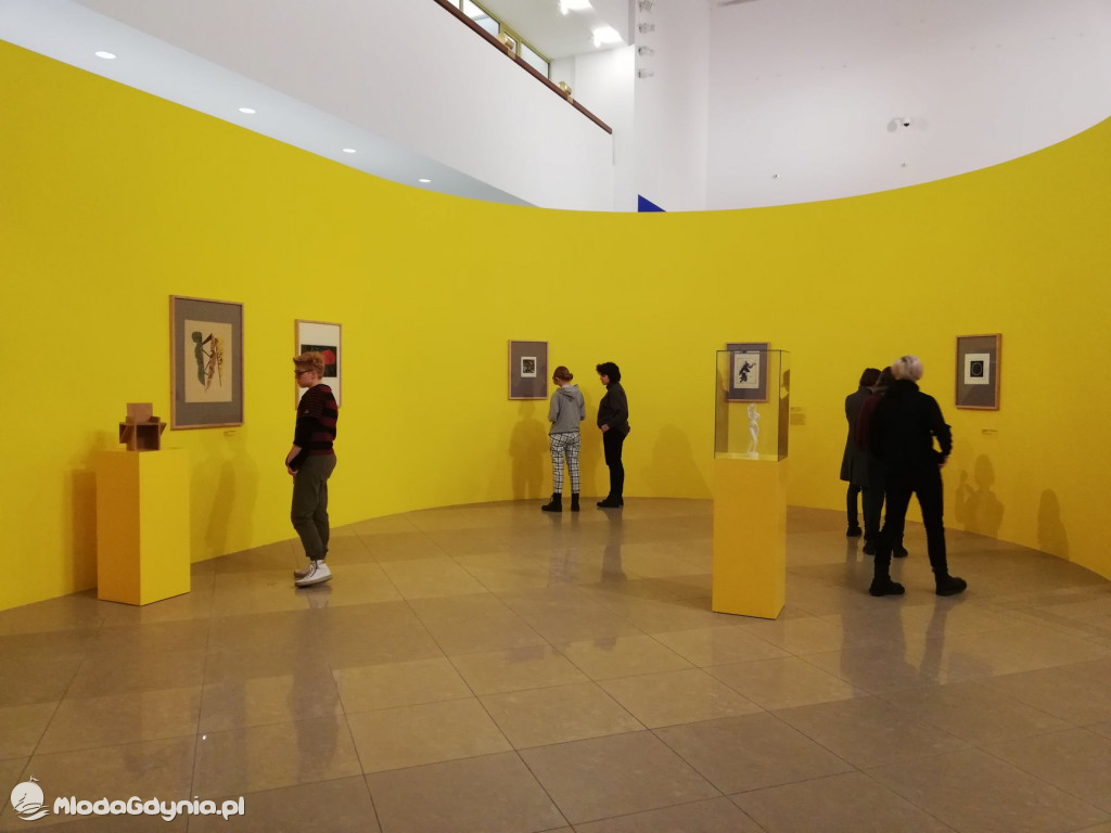 Zespół Szkół Plastycznych - Skoki - luty 2020