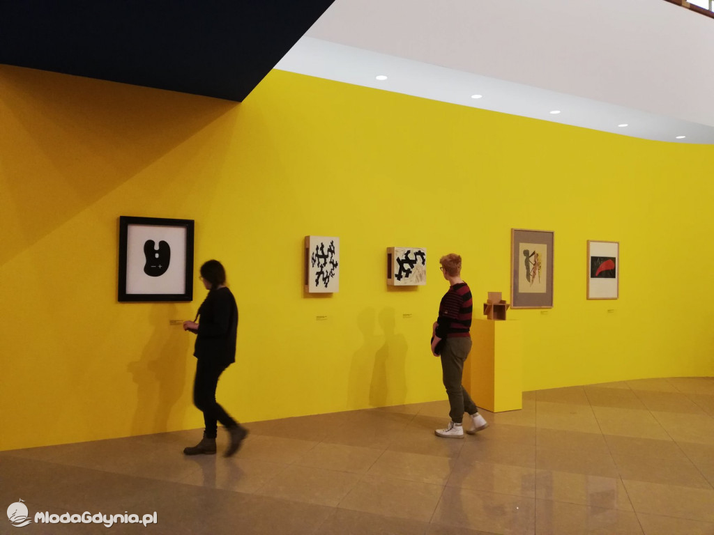 Zespół Szkół Plastycznych - Skoki - luty 2020