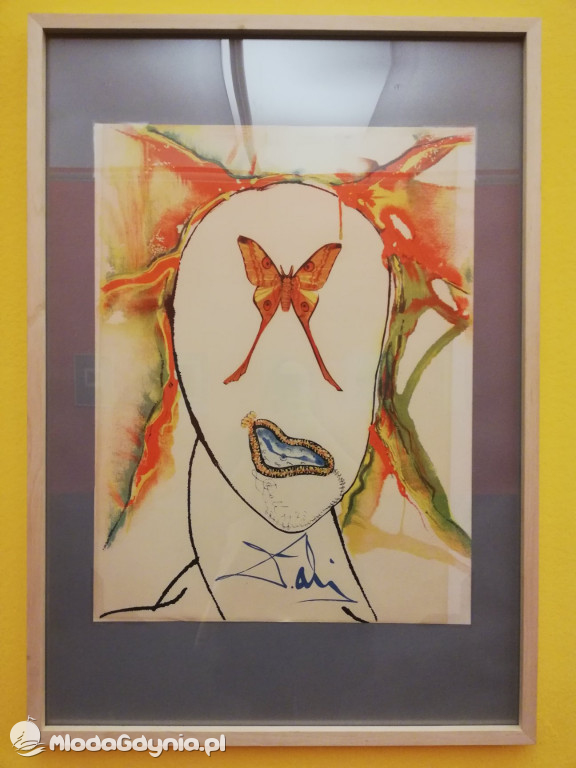 Zespół Szkół Plastycznych - Skoki - luty 2020