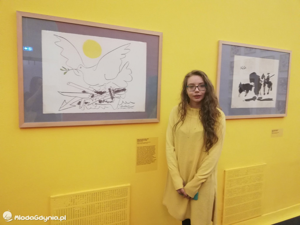 Zespół Szkół Plastycznych - Skoki - luty 2020