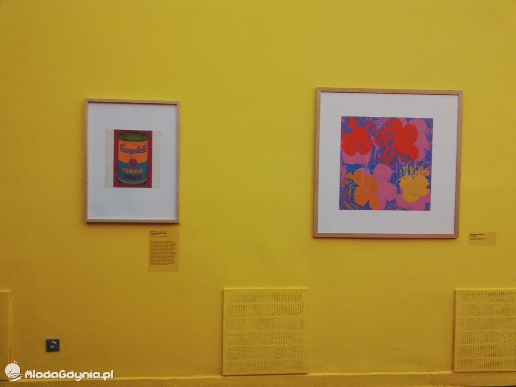 Zespół Szkół Plastycznych - Skoki - luty 2020