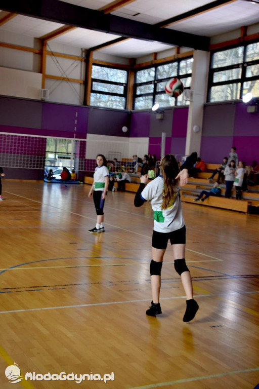 SP 18 - siatkarki jadą na finał do Kwidzyna