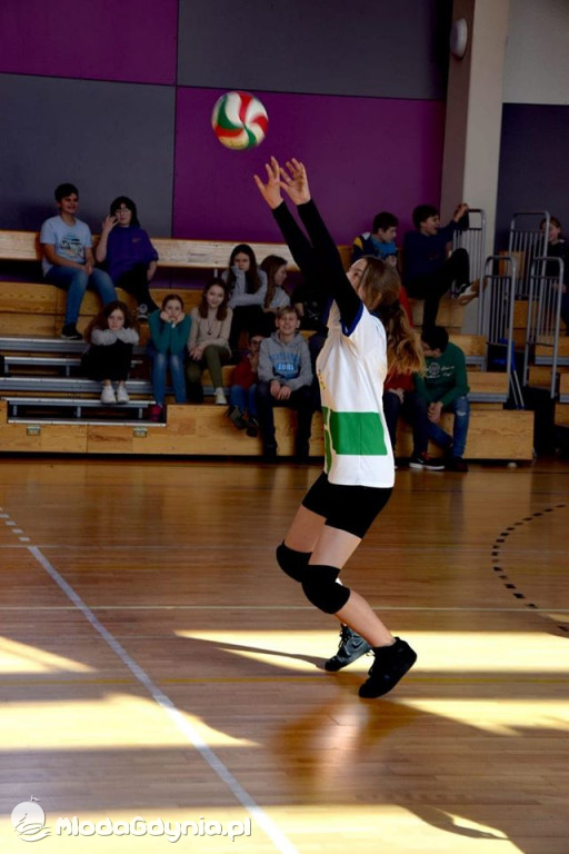 SP 18 - siatkarki jadą na finał do Kwidzyna
