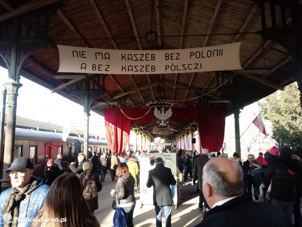 Dr Aleksander Kozicki - luty 2020