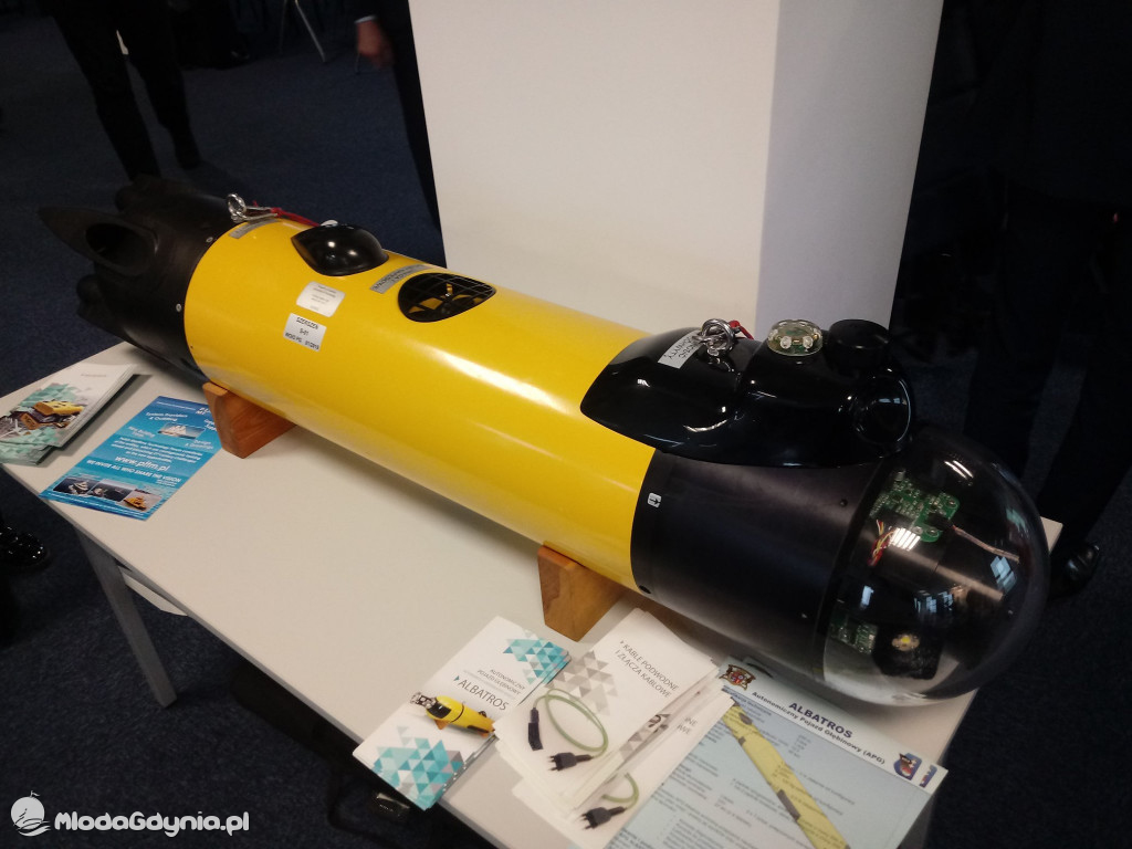 Dr Aleksander Kozicki - luty 2020