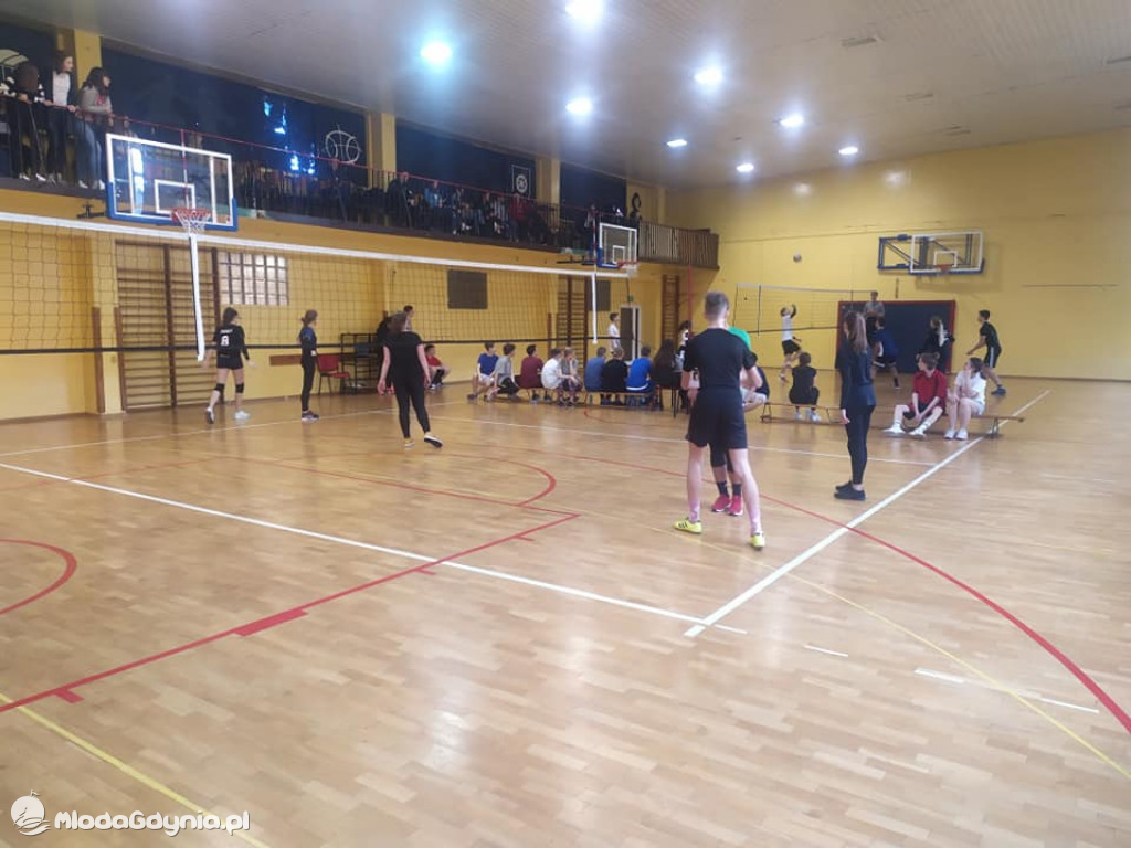 XIV LO - Mistrzostwa Szkoły w Siatkówce