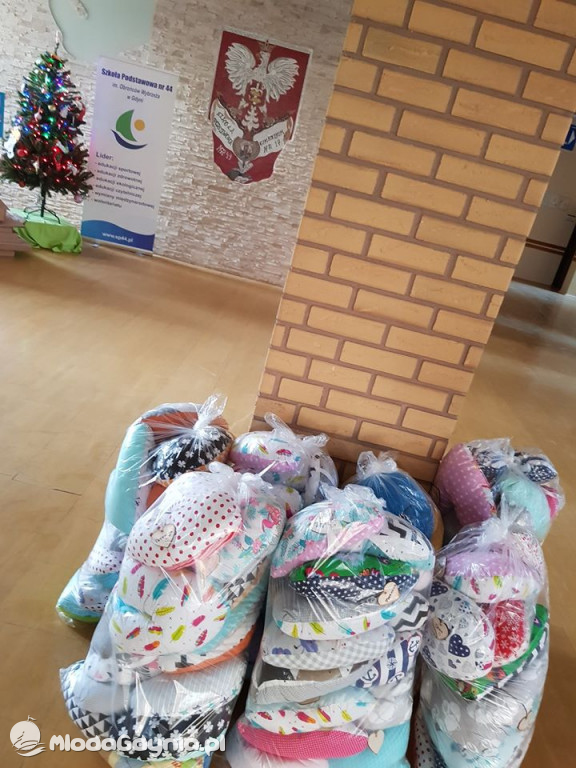 SP 44 - SERCE DLA SERCA