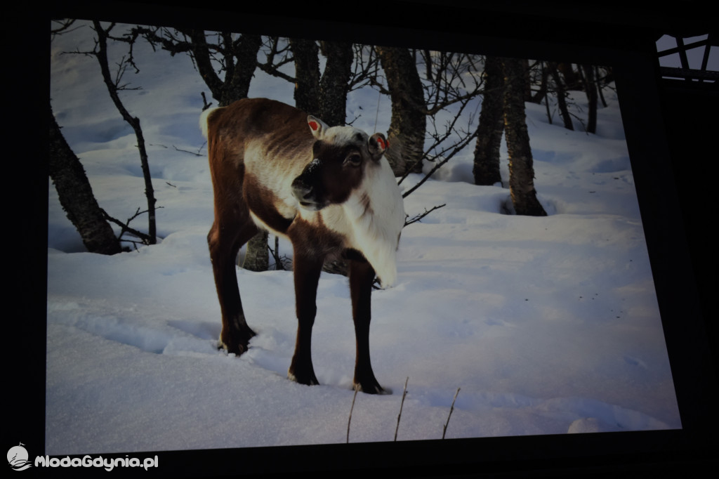 W pościgu za zorzą w ZSAE - 23.02