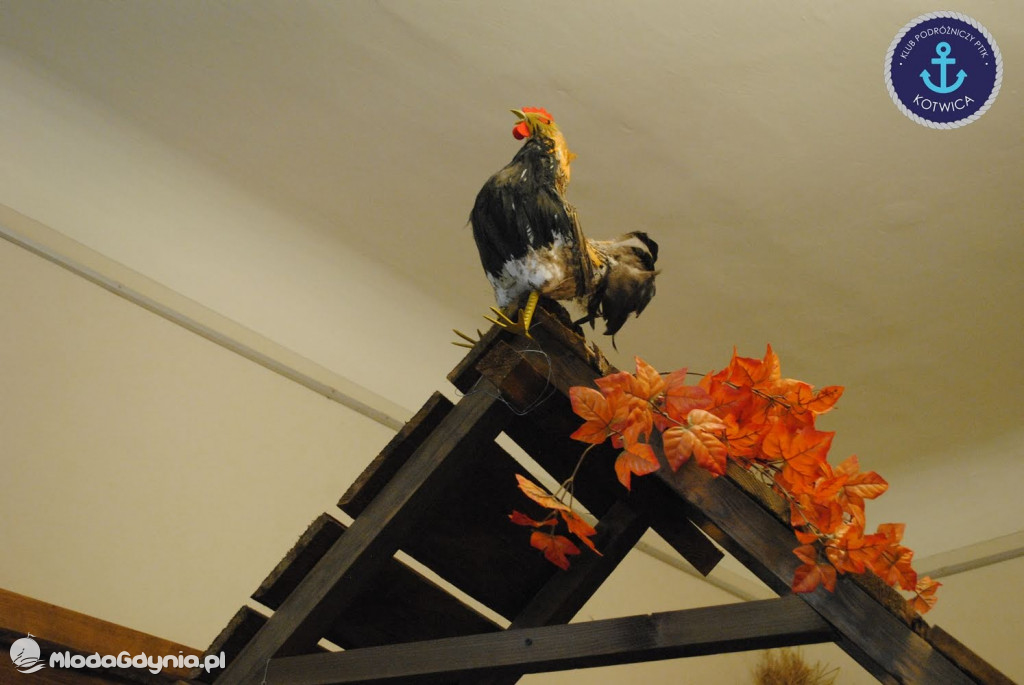 Klub Podróżniczy PTTK KOTWICA na Szlaku Nut Kaszubskich w Wejherowie - 07.03.2020