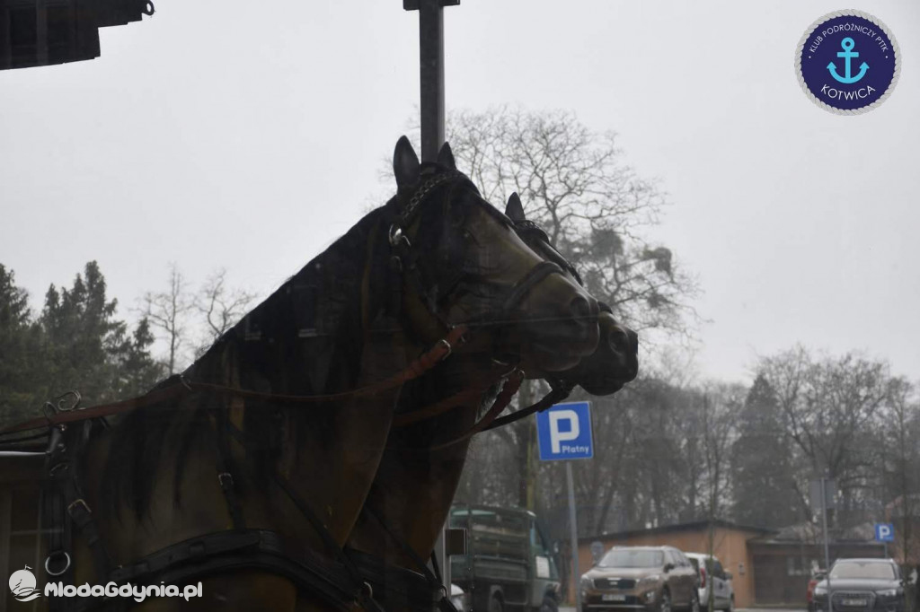 Klub Podróżniczy PTTK KOTWICA na Szlaku Nut Kaszubskich w Wejherowie - 07.03.2020