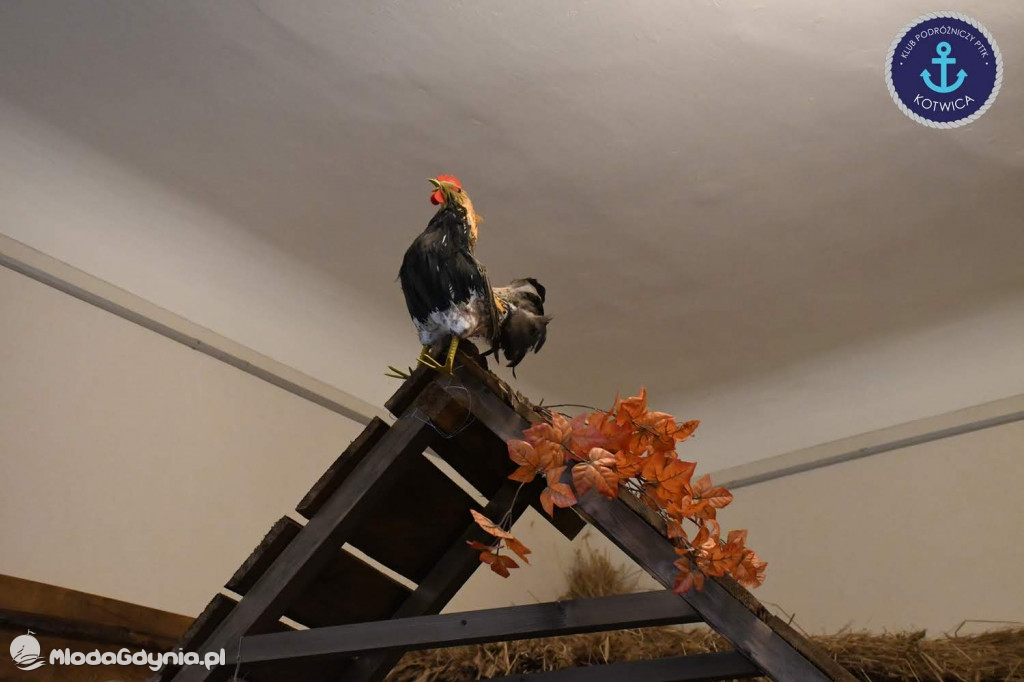 Klub Podróżniczy PTTK KOTWICA na Szlaku Nut Kaszubskich w Wejherowie - 07.03.2020