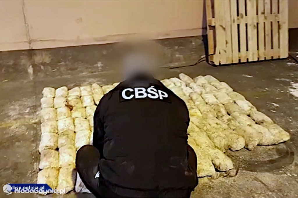 Heroina w Porcie Gdynia